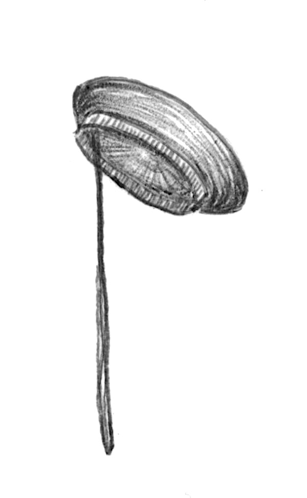 Tellerdrehen